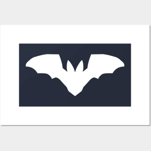 Virginia Big Eared Bat Posters and Art